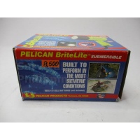 pelican_bright_light1_534921317
